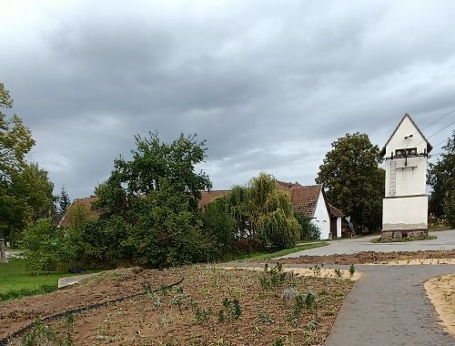 IMG 20250913 090811 (1)