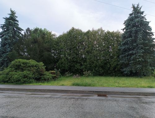 IMG 20240609 195859 (1)