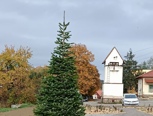 IMG 20251017 094110 (1)