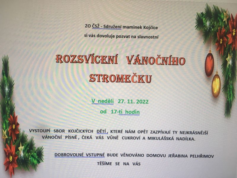 Společně jsme pomohli Domovu Jeřabina