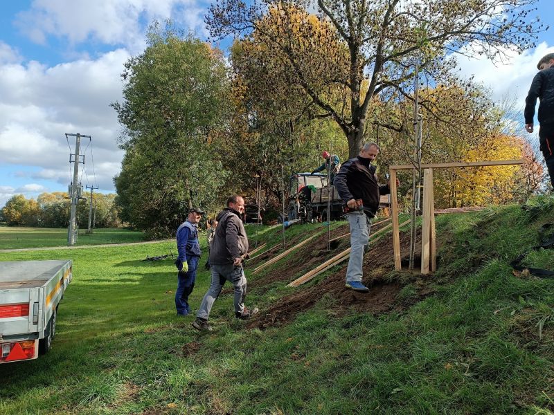 Švestková alej u hřiště